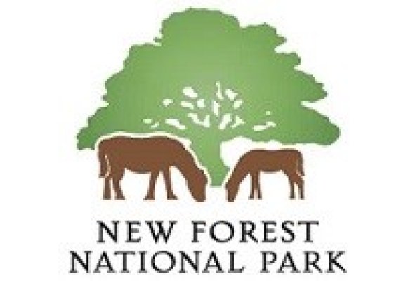 New members invited to join the New Forest Access Forum